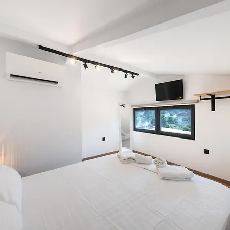 Mvm Concept & Maisonette *
